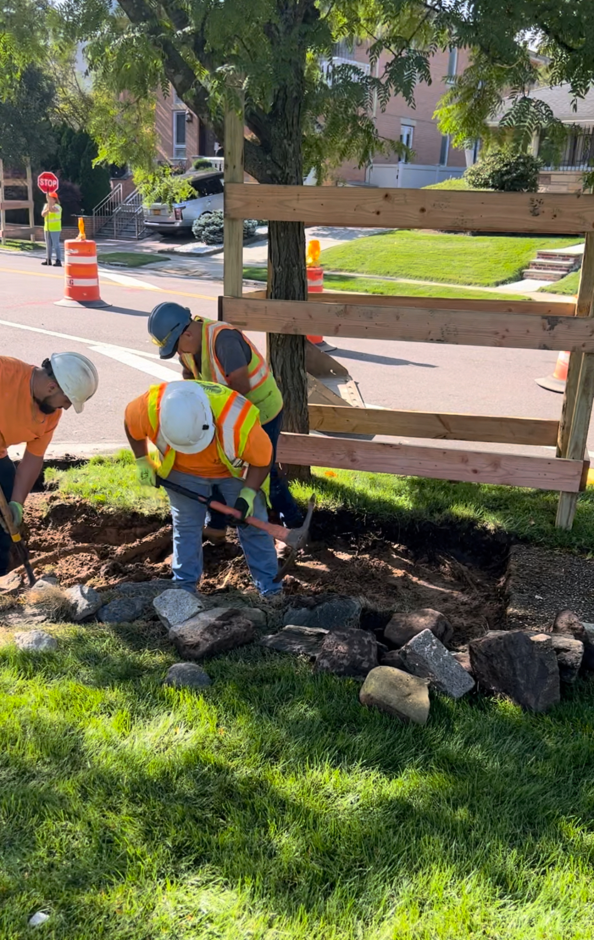 Excavation Near Curbside Tree
